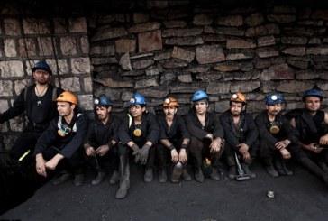رییس انجمن زغالسنگ: دولت 13 هزار شاغل این صنعت را دریابد