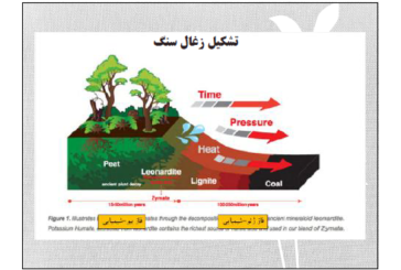 تشکیل زغالسنگ