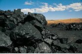 خصوصیات میکروسکوپی زغال سنگ‌ها